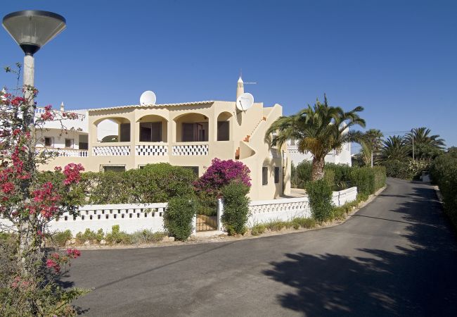 street view Street view of Villa Beatriz with large palm tree