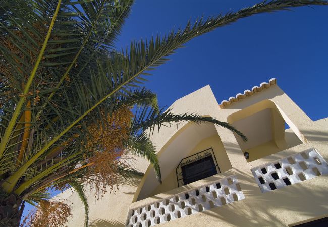 Palm tree next to the villa Palm tree next to Villa Beatriz