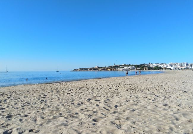 Meia Praia - Lagos Meia Praia - Lagos