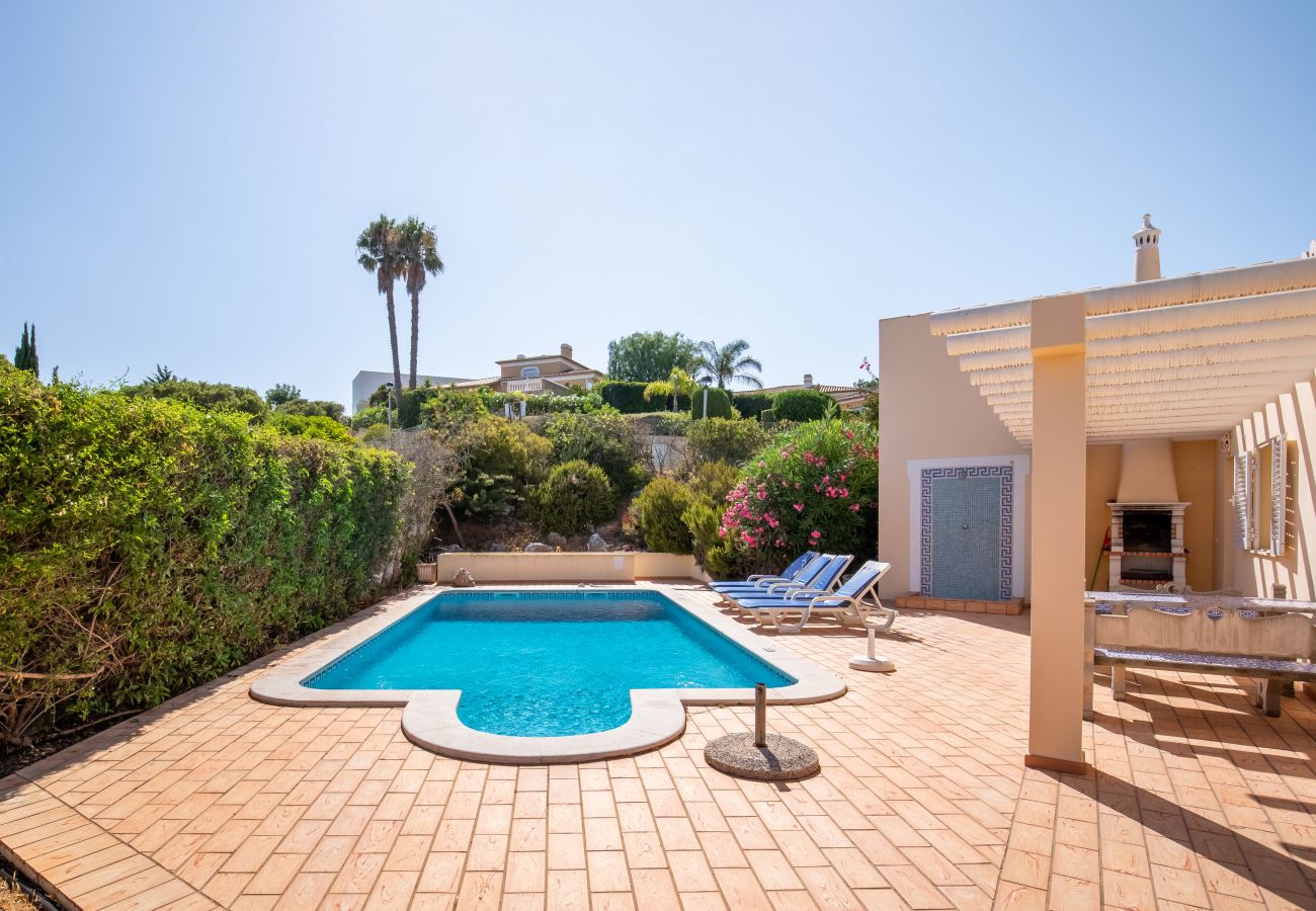 Pool and terrace with barbecue area at a sunny holiday home. View of a pool and a terrace with a barbecue area and palm trees in the background under a blue sky.