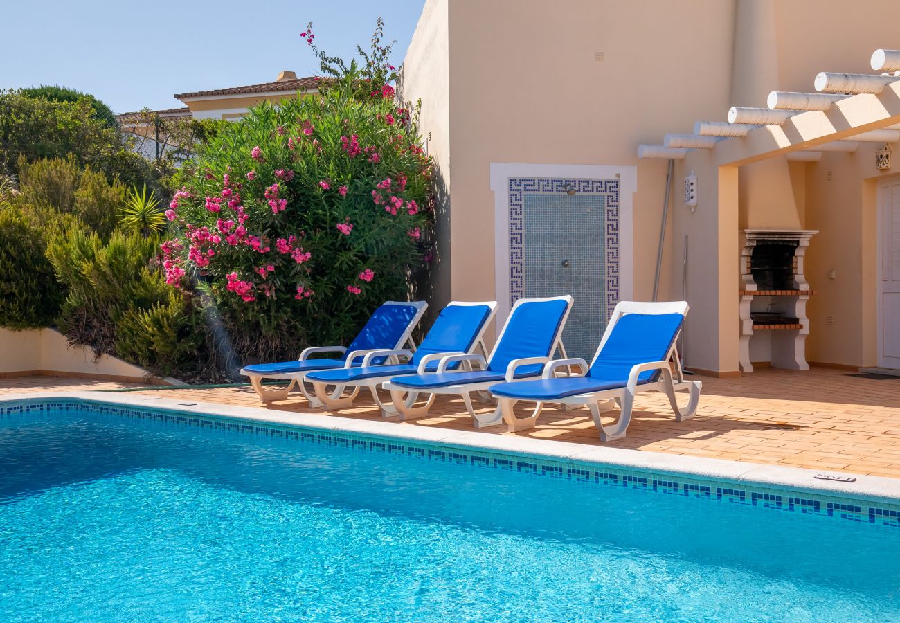 Sunny pool terrace with a flowering bush and a barbecue. View of a blue pool, a pink flowering bush, a barbecue, and a wall with blue tiles.