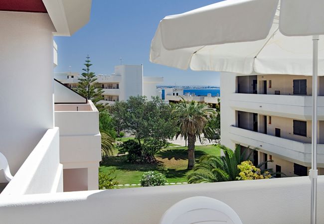 Sea view from the terrace View from the terrace of Casa Ana to the sea and Alvor and the green area of Iberlagos
