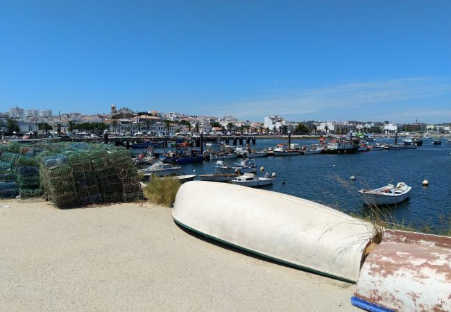 Fishing harbour in Lagos with view of the fish market on the Avenida Fishing harbour in Lagos with view of the large fish market on the Avenida