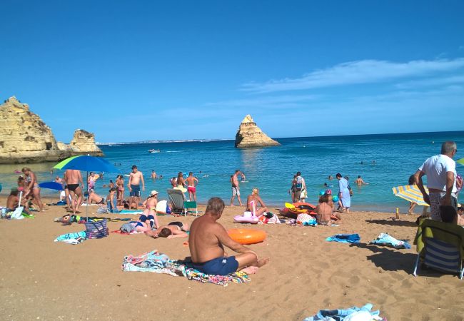 Praia Dona Ana in summer Praia Dona Ana in summer