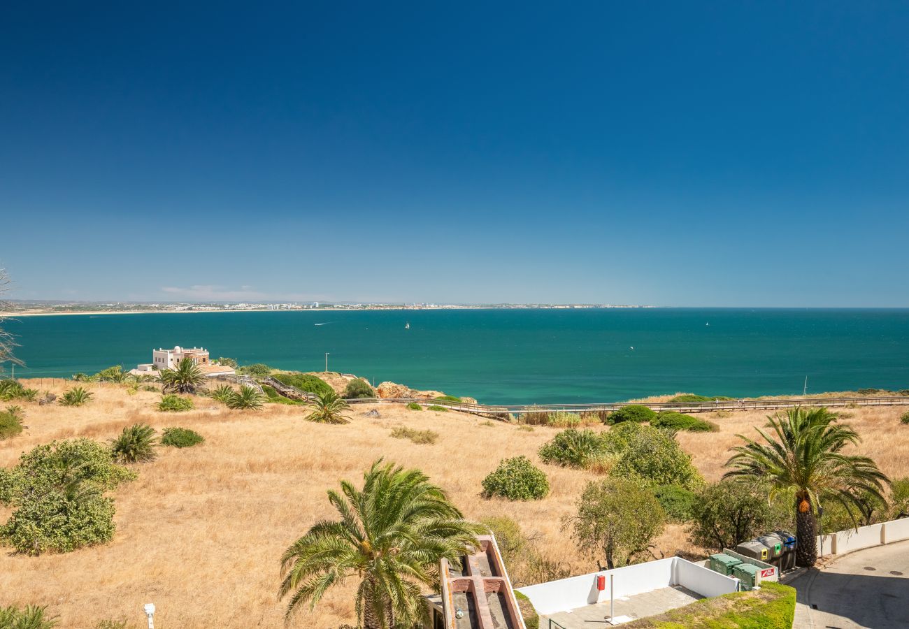 Spectacular Panoramic View of Sea and Coastline Elevated, panoramic view of the blue sea, distant coastal city, and dry yellow landscape with palm trees and shrubs.
