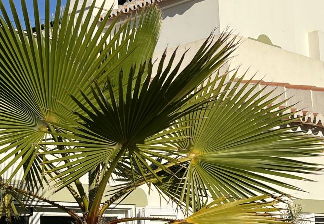 Apartment in Porches - Casa Galo Verde Apartment 2, quiet coastal location Apartment in Porches - Casa Galo Verde Apartment 2, quiet coastal location