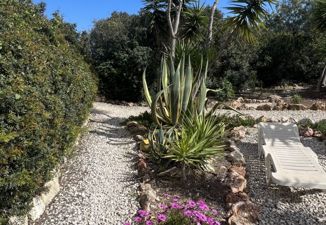 Apartment in Porches - Casa Galo Verde Apartment 2, quiet coastal location Apartment in Porches - Casa Galo Verde Apartment 2, quiet coastal location