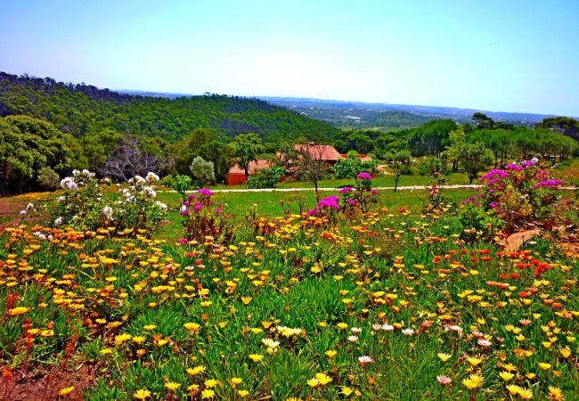 Apartment in Lagos - Quinta Sonhos not only for romantic nature lovers, Lagos Apartment in Lagos - Quinta Sonhos not only for romantic nature lovers, Lagos