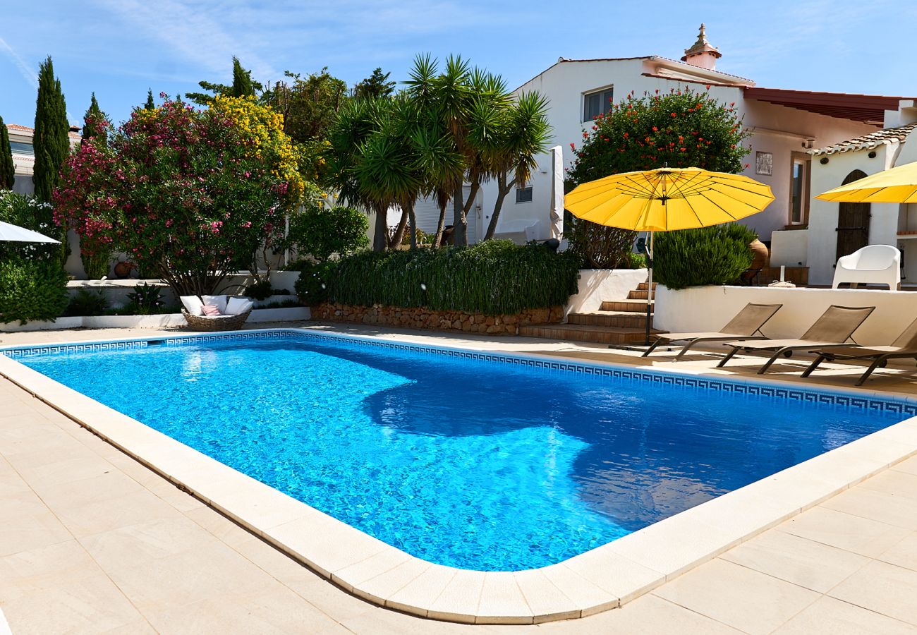 Pool with sun loungers and parasols on the terrace Pool at Casa Palmeira with sun loungers on the pool terrace below the other terraces