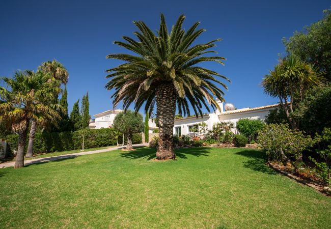 Villa in Lagos - Quinta Felicidade, 4 bedroom holiday villa with private pool Villa in Lagos - Quinta Felicidade, 4 bedroom holiday villa with private pool