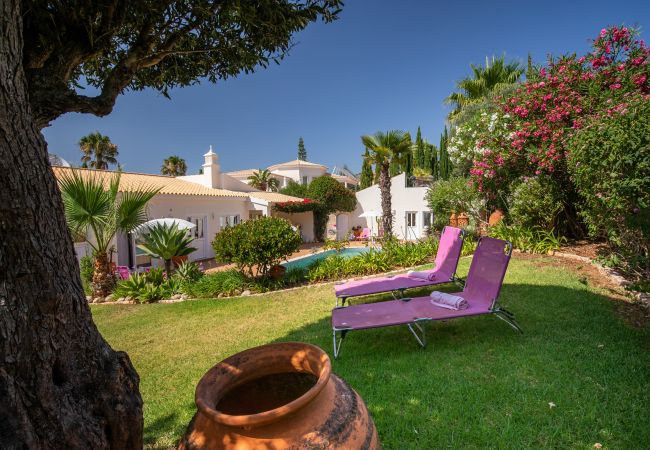 Villa in Lagos - Quinta Felicidade, 4 bedroom holiday villa with private pool Villa in Lagos - Quinta Felicidade, 4 bedroom holiday villa with private pool
