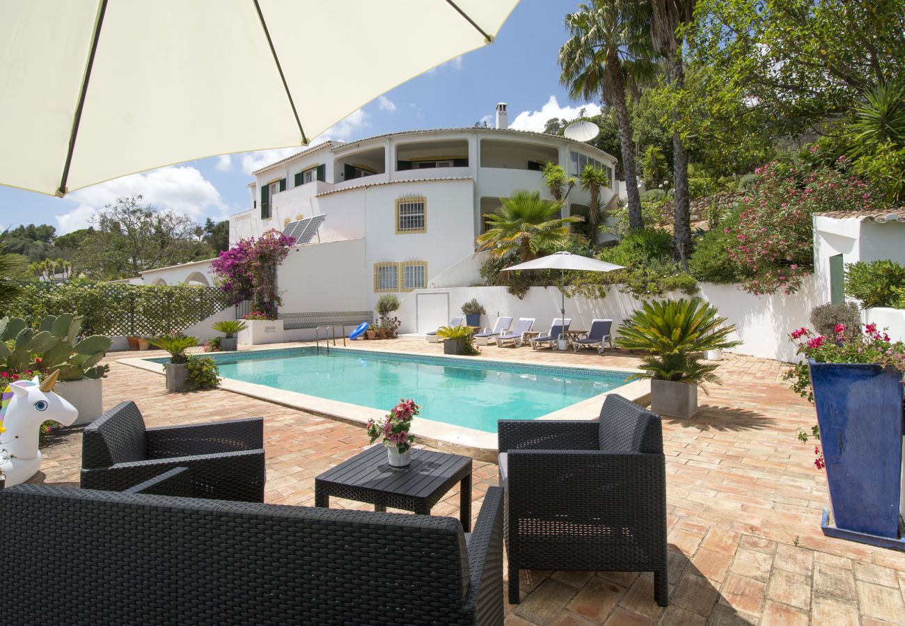 Large pool area with outdoor shower and sun loungers Large pool area of Villa Lorena with outdoor shower and sun loungers on the terrace