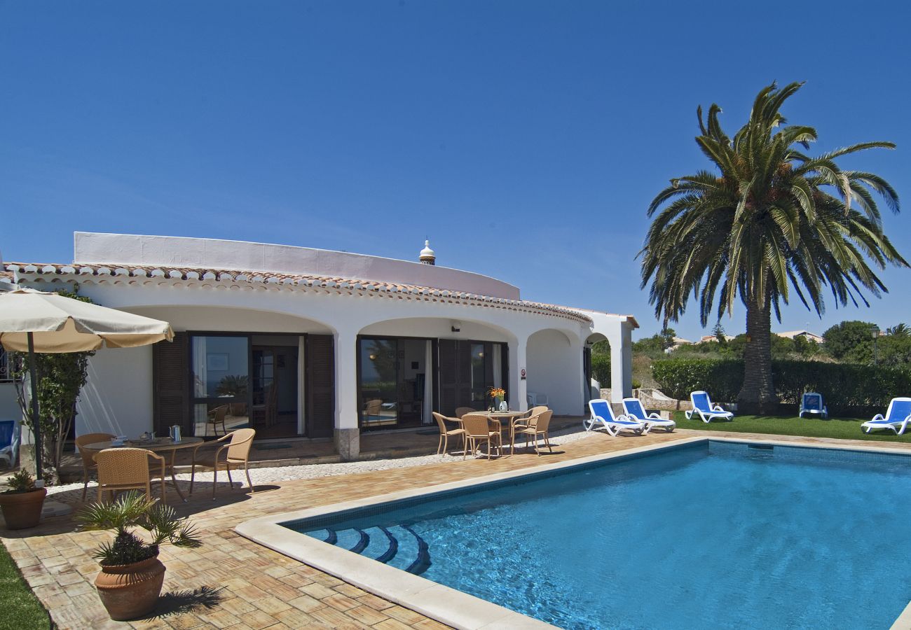 Villa Camena: palmeira grande e mobiliário exterior junto à piscina Grande piscina privada com mobiliário exterior no terraço e palmeira no jardim da Villa Camena