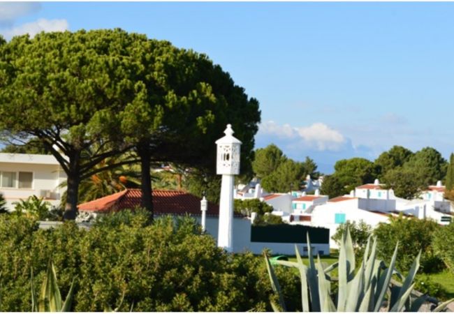 Àrea de jardim Lanterna junto a dois grandes pinheiros no jardim da Casa Realengo
