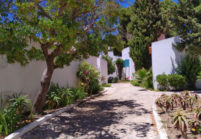 Passadiços pavimentados no resort Passadiços pavimentados à volta da Casa Relanego no resort da Prainha