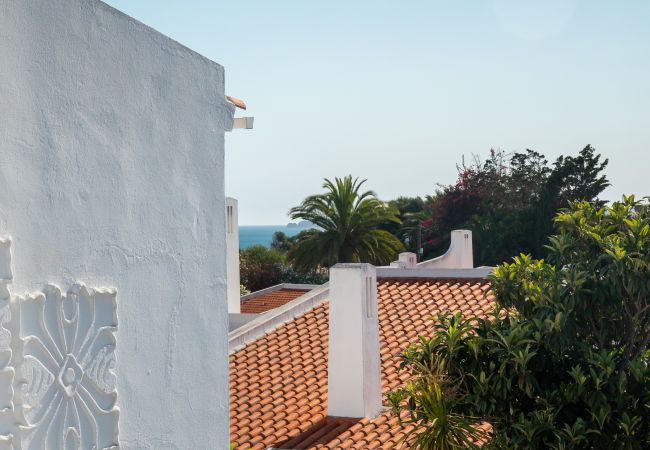 Pátio exterior ensolarado com porta turquesa e vaso de terracota Um pátio exterior branco com um chão de azulejos de terracota, uma porta e persianas azuis brilhantes e uma planta em vaso.