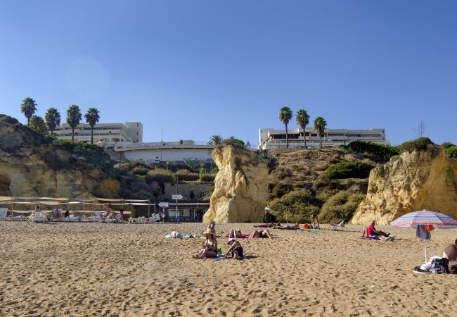Praia Dona Ana com quiosque e espreguiçadeiras sob a piscina comum Praia Dona Ana com quiosque e espreguiçadeiras sob a piscina comum do Iberlagos