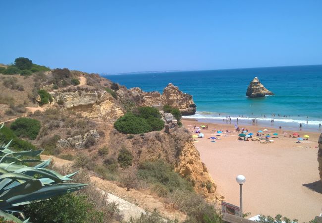 Praia Dona Ana com águas cristalinas Praia de Dona Ana com águas cristalinas directamente abaixo da Casa Oyster em Iberlagos, Lagos, Algarve, Portugal