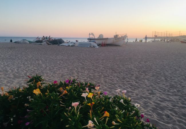 Praia em Armação de Pera com barco de pesca e voleibol de praia Praia em Armação de Pera com barco de pesca e voleibol de praia