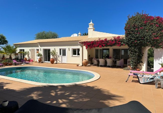 Grande área de piscina da Quinta Felicidade com grande terraço e espreguiçadeiras com guarda-sóis.