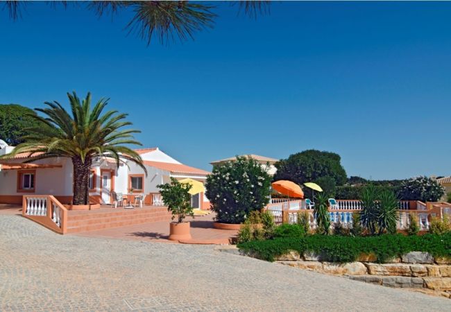 große Terrasse der Villa Mariposa mit Palme direkt am Haus und kindgerecht gesicherter Pool