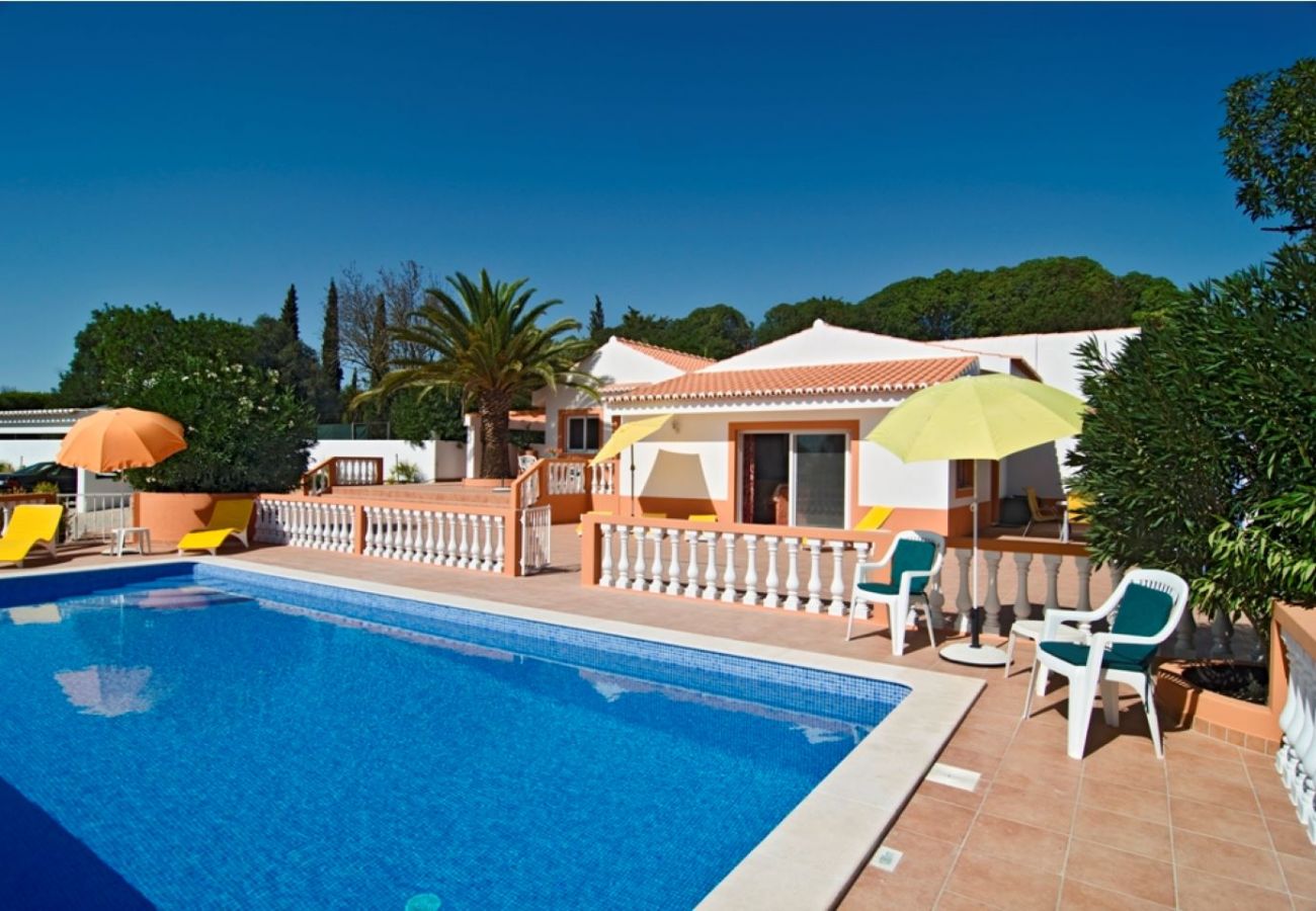 umzäunter Poolbereich mit privatem Pool und angrenzender Terrasse umzäunter Poolbereich der Villa Mariposa mit privatem Pool und angrenzender Terrasse