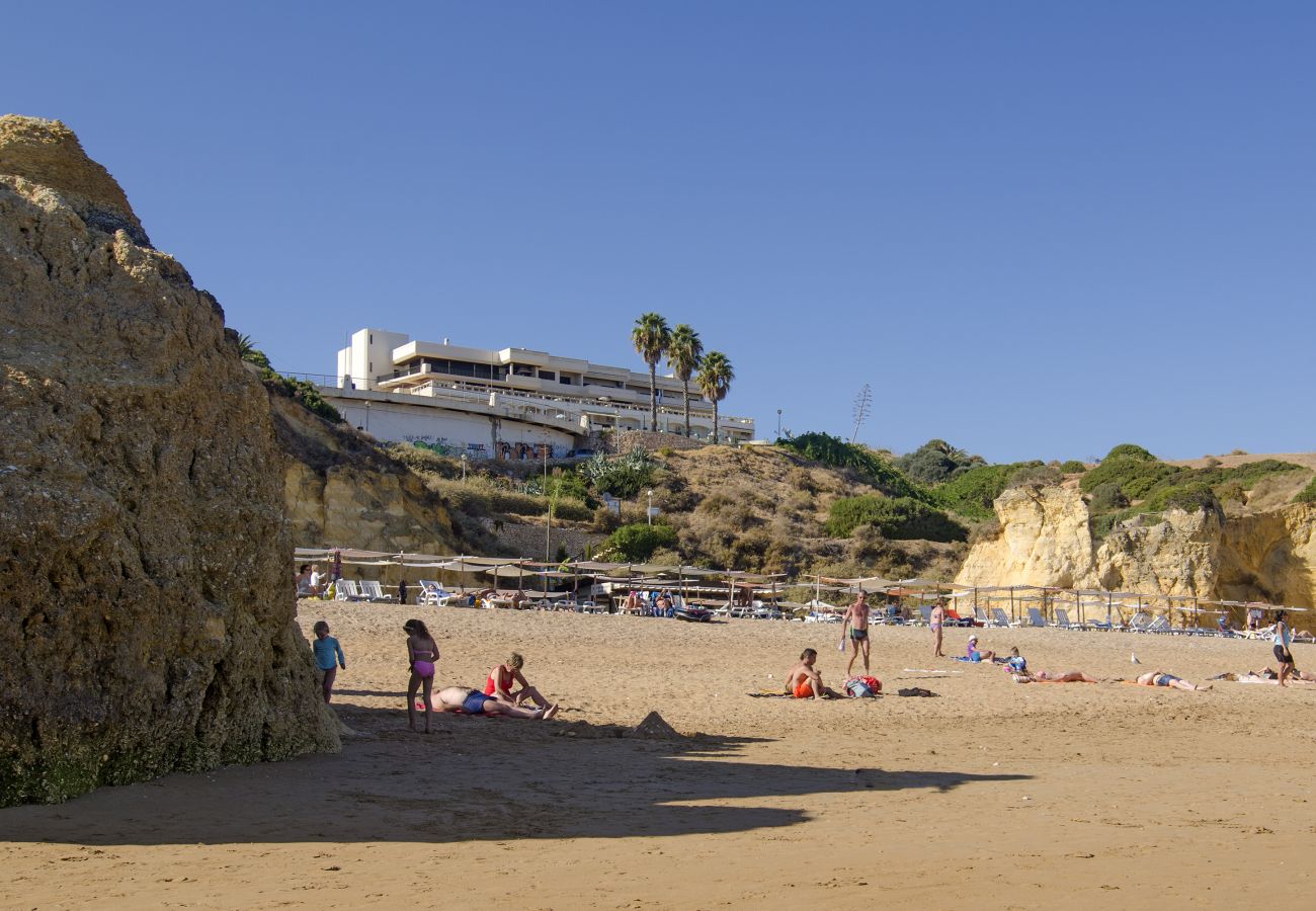 Iberlagos oberhalb von Praia Dona Ana Iberlagos oberhalb von Praia Dona Ana