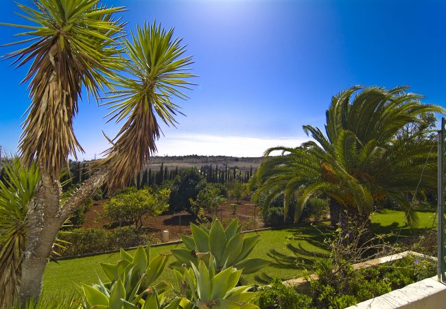 Villa in Lagos - Villa Lorena mit großen privaten Pool und Garten Villa in Lagos - Villa Lorena mit großen privaten Pool und Garten