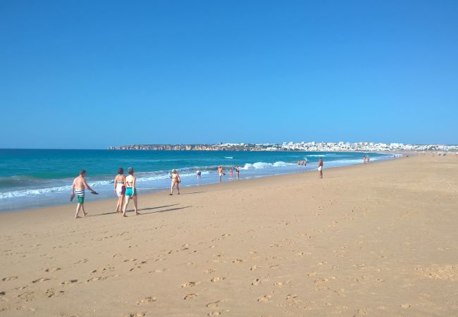 Meia Praia Meia Praia in Lagos mit Blick auf die Felsküste und die Stadt