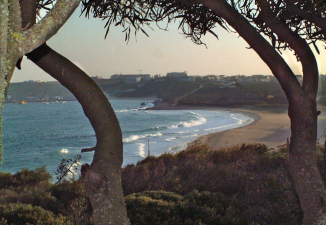 Ferienwohnung in Sagres - Casa Cactus in Strandnähe und Gemeinschaftspool Ferienwohnung in Sagres - Casa Cactus in Strandnähe und Gemeinschaftspool