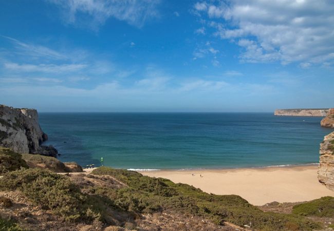 Ferienwohnung in Sagres - Casa Cactus in Strandnähe und Gemeinschaftspool Ferienwohnung in Sagres - Casa Cactus in Strandnähe und Gemeinschaftspool