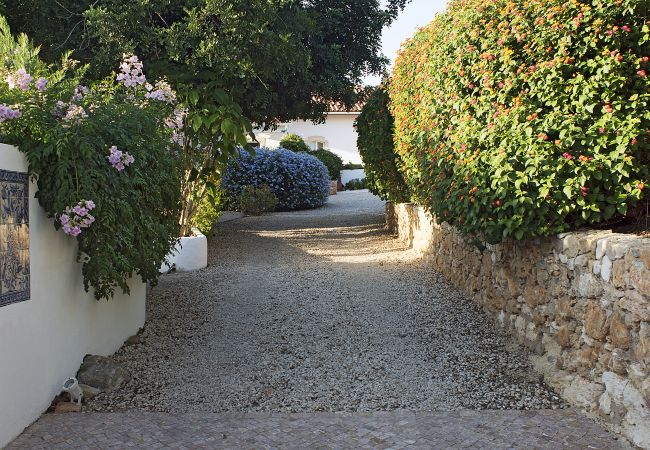 Zufahrt zum Anwesen Bepflanzte Zufahrt zu Casa Palmeira